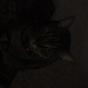 Meet your Posher, Kristen